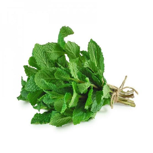 Mint - 1 Bunch