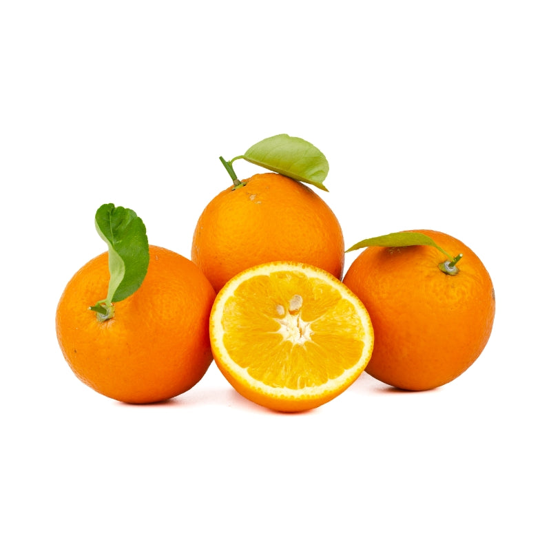 Orange Small - 4pcs