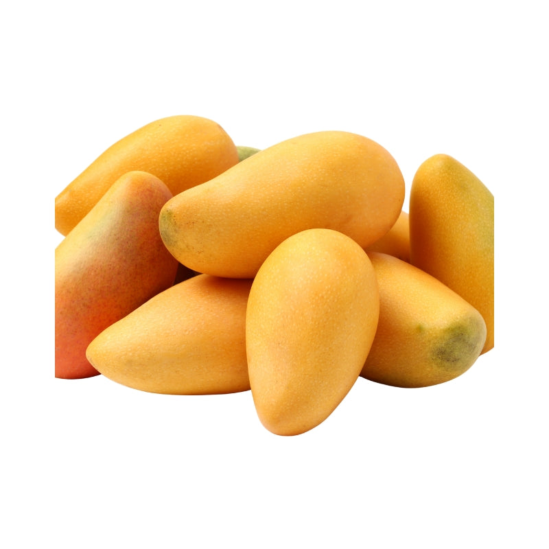 Pakistani Mango - Large