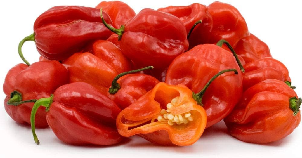 Scotch bonnet chilli Peppers(Hot pepper)