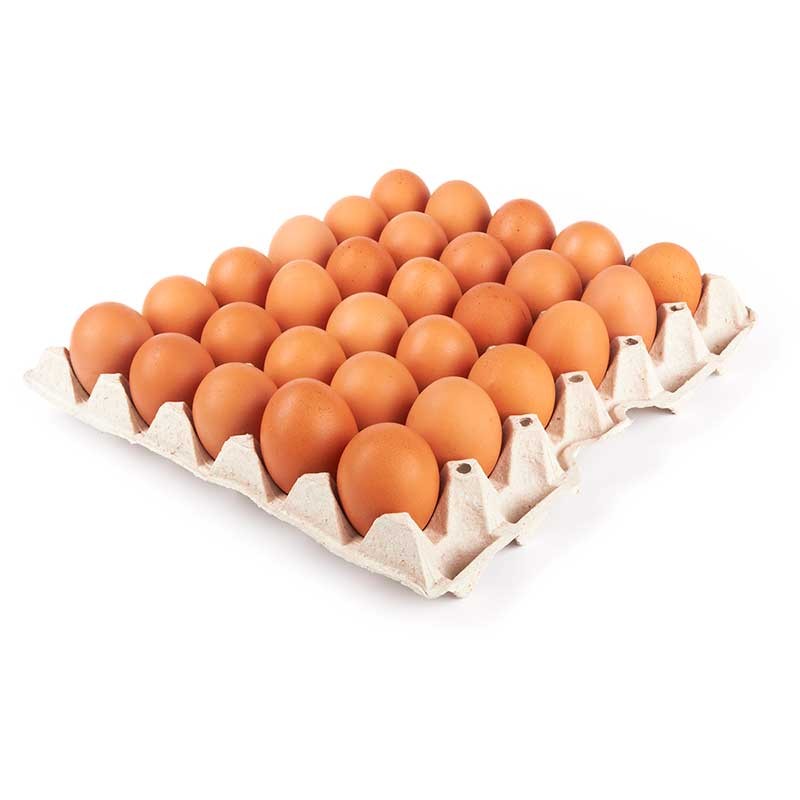 Fresh Medium Eggs - 30pcs