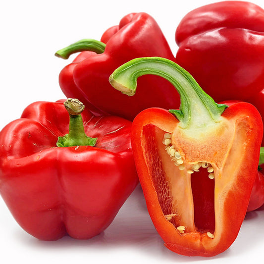 Capsicum Red (Red Pepper)