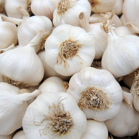 Garlic Loose