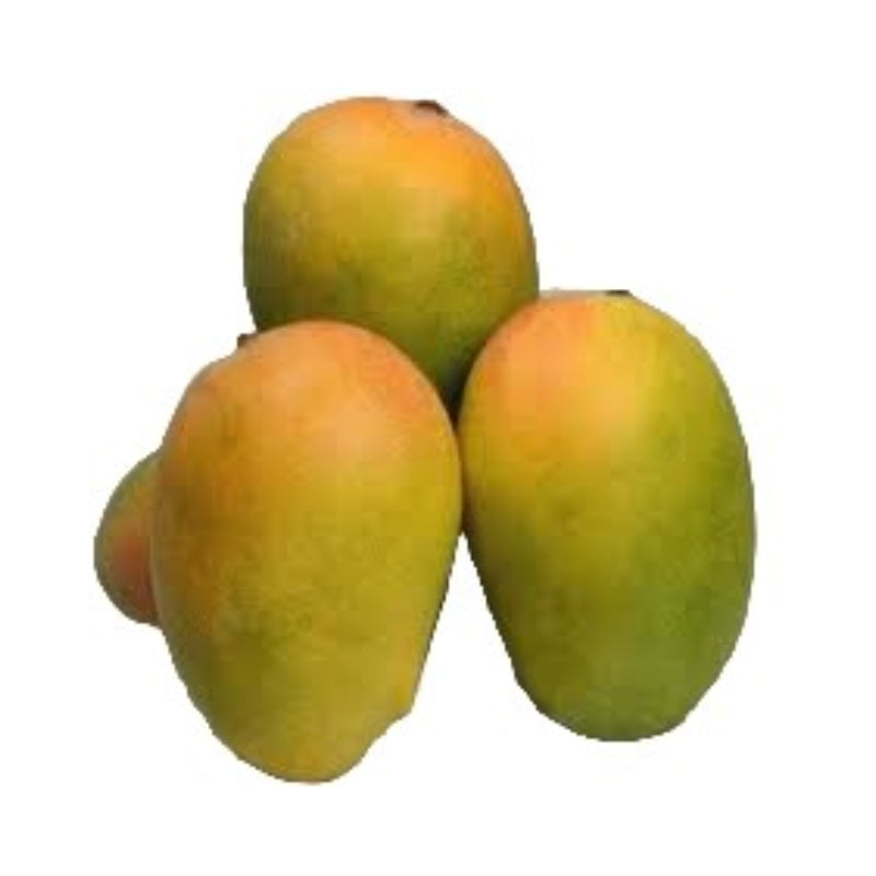 Mango Keshar - Large