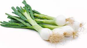 Onion Spring - 1 Bunch
