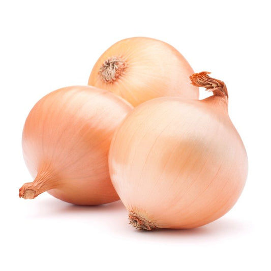 Onion White