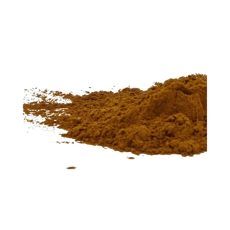Herbasense Reetha Powder - 100g