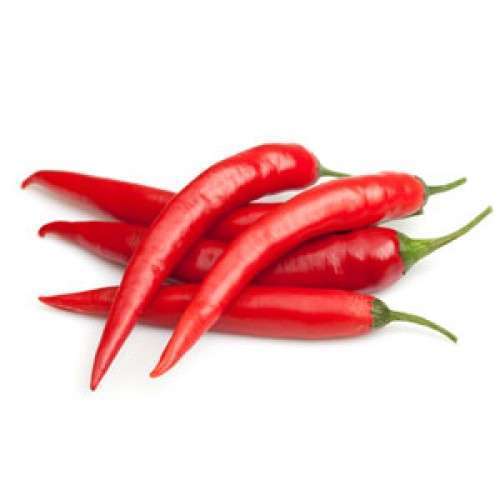 Red Long Chilli