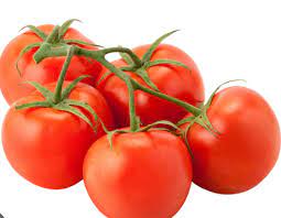 Tomato Vine Dutch