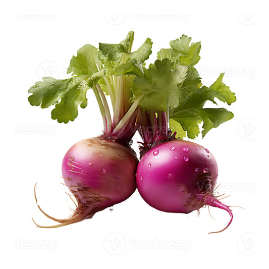 Turnip